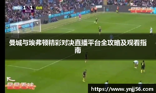 乐盈VI