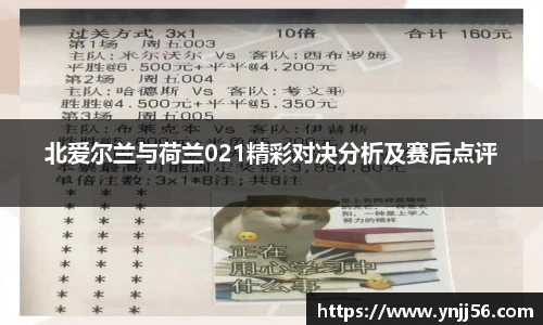 乐盈VI首页
