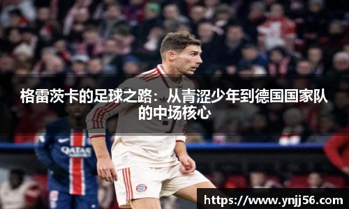 乐盈VI