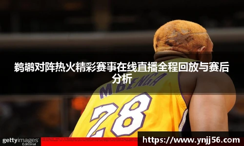 鹈鹕对阵热火精彩赛事在线直播全程回放与赛后分析